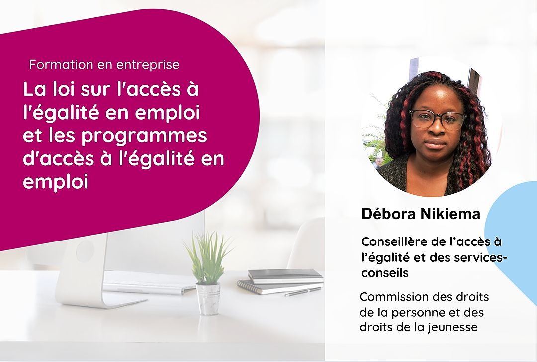 La loi sur l'accès à l'égalité en emploi ( LAÉE) et les programmes d'accès à l'égalité en emploi (PAÉE)